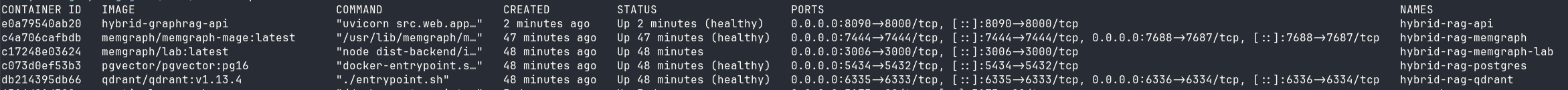 Docker processes showing all five Hybrid GraphRAG containers running: PostgreSQL, Qdrant, Memgraph, Memgraph Lab, and the API